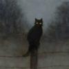 trickychery