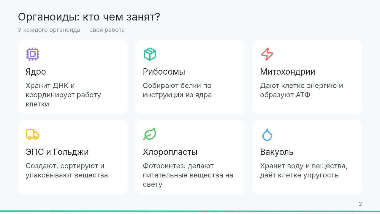 Слайд 2 презентации &laquo;Строение клетки&raquo;, созданной в Manus